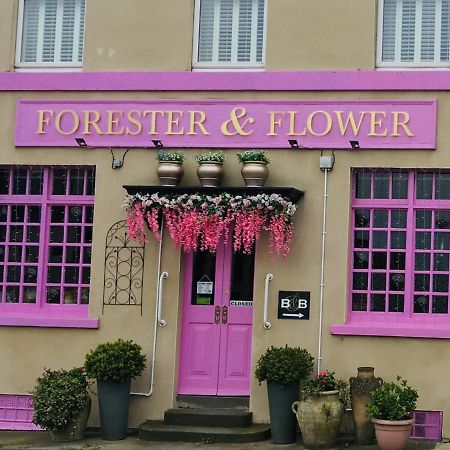 The Forester And Flower Бат Экстерьер фото