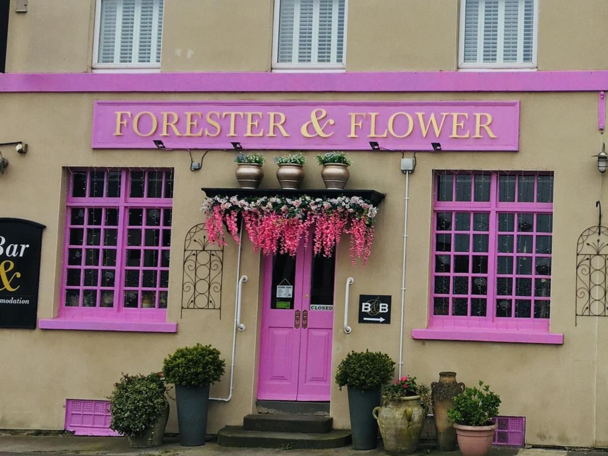 The Forester And Flower Бат Экстерьер фото